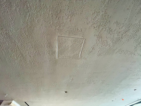 BASWA Ceiling Installed