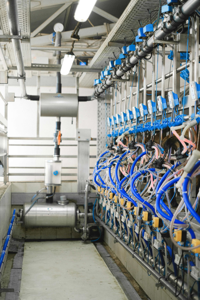 Government Plant Upgrades