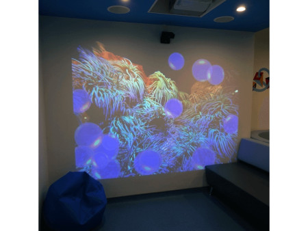 Chelsea Westminster Chelsea Childrens Hospital10 Large